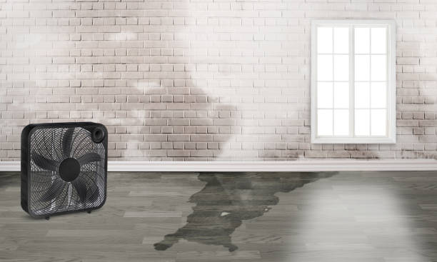 Best Fire Damage Restoration  in Wiggins, CO